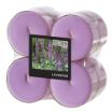 8 Flavour by GALA Maxi Duftlichte Ø 59 mm · 24 mm violett - Lavender in Polycarbonathülle